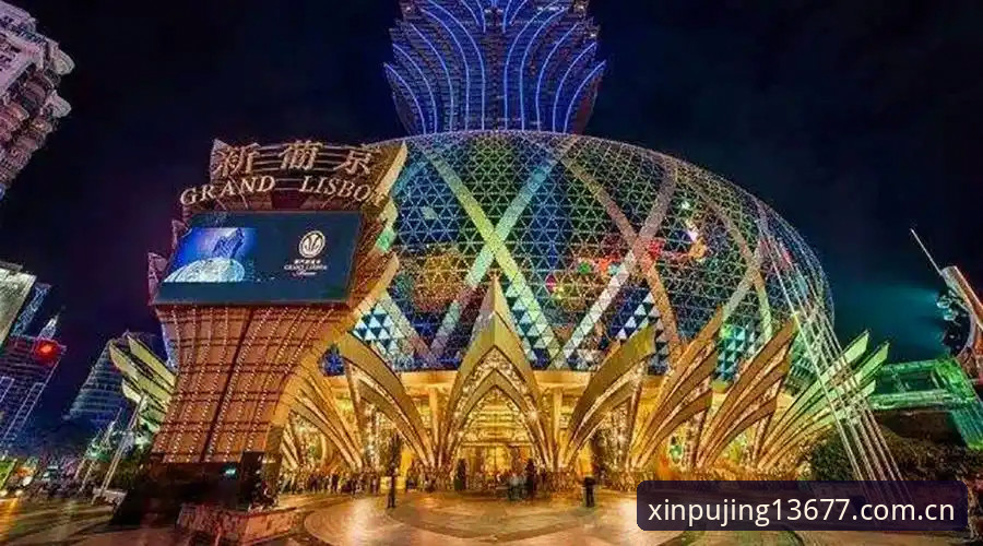 新浦京娱乐场实战指南：从入口到App下载的完整操作详解